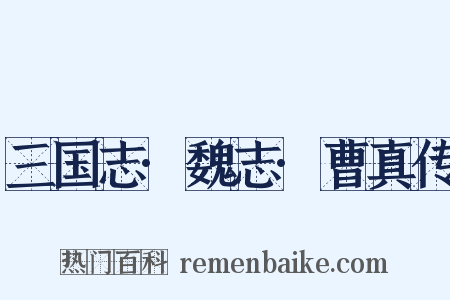 三国志·魏志·曹真传是什么意思的图片